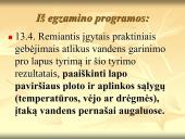 Medžiagų pernaša lapais 19 puslapis