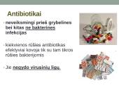 Antibiotikai. Organizmo apsauga nuo žalingo aplinkos poveikio 16 puslapis