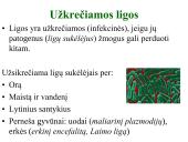 Antibiotikai. Organizmo apsauga nuo žalingo aplinkos poveikio 3 puslapis