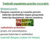Antibiotikai. Organizmo apsauga nuo žalingo aplinkos poveikio 8 puslapis
