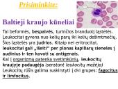 Antibiotikai. Organizmo apsauga nuo žalingo aplinkos poveikio 9 puslapis