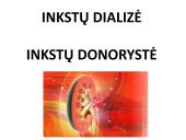 Dializė, donorystė