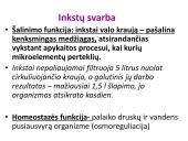 Dializė, donorystė 3 puslapis