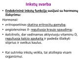 Dializė, donorystė 4 puslapis