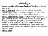 Dializė, donorystė 6 puslapis