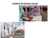 Dializė, donorystė 10 puslapis