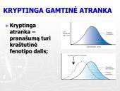 Gamtinė atranka ir jos rūšys (skaidrės) 11 puslapis