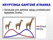 Gamtinė atranka ir jos rūšys (skaidrės) 12 puslapis