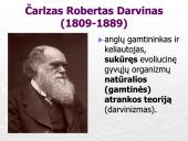 Gamtinė atranka ir jos rūšys (skaidrės) 3 puslapis
