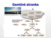 Gamtinė atranka ir jos rūšys (skaidrės) 5 puslapis