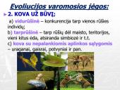 Gamtinė atranka ir jos rūšys (skaidrės) 7 puslapis