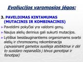 Gamtinė atranka ir jos rūšys (skaidrės) 8 puslapis