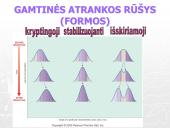 Gamtinė atranka ir jos rūšys (skaidrės) 10 puslapis