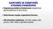 Gamtinė ir dirbtinė atranka (skaidrės) 2 puslapis