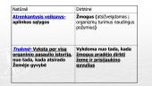 Gamtinė ir dirbtinė atranka (skaidrės) 4 puslapis