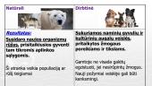 Gamtinė ir dirbtinė atranka (skaidrės) 5 puslapis