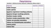 Gamtinė ir dirbtinė atranka (skaidrės) 6 puslapis