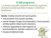 Ląstelės sandara (skaidrės) 12 puslapis