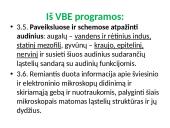 Ląstelės sandara (skaidrės) 15 puslapis