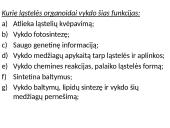 Ląstelės sandara (skaidrės) 20 puslapis