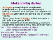 Organizmų sistematikos principai. Taksonominės grupės (skaidrės) 11 puslapis