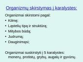 Organizmų sistematikos principai. Taksonominės grupės (skaidrės) 12 puslapis