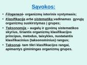 Organizmų sistematikos principai. Taksonominės grupės (skaidrės) 3 puslapis
