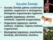 Organizmų sistematikos principai. Taksonominės grupės (skaidrės) 4 puslapis