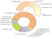 Organizmų sistematikos principai. Taksonominės grupės (skaidrės) 6 puslapis