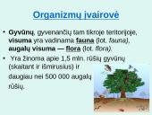 Organizmų sistematikos principai. Taksonominės grupės (skaidrės) 7 puslapis