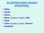 Organizmų sistematikos principai. Taksonominės grupės (skaidrės) 9 puslapis