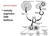 Genai ir baltymų sintezė 18 puslapis