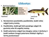 Su maistu gaunamų  medžiagų reikšmė  10 puslapis