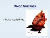 Vitaminai ir mineraliniai elementai (skaidrės) 13 puslapis