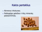 Vitaminai ir mineraliniai elementai (skaidrės) 14 puslapis