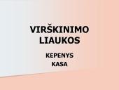 Kepenys ir kasa. Virškinimo liaukos 2 puslapis