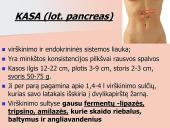 Kepenys ir kasa. Virškinimo liaukos 14 puslapis