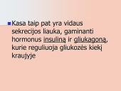 Kepenys ir kasa. Virškinimo liaukos 15 puslapis