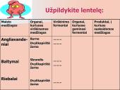 Kepenys ir kasa. Virškinimo liaukos 19 puslapis