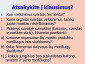 Kepenys ir kasa. Virškinimo liaukos 20 puslapis