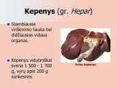 Kepenys ir kasa. Virškinimo liaukos 6 puslapis