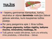 Kepenys ir kasa. Virškinimo liaukos 9 puslapis