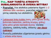 Tinkama ir netinkama mityba (skaidrės) 12 puslapis