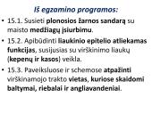 Virškinimo sistema. Burnoje, skrandyje, žarnyne 2 puslapis