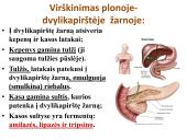 Virškinimo sistema. Burnoje, skrandyje, žarnyne 11 puslapis