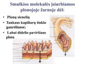 Virškinimo sistema. Burnoje, skrandyje, žarnyne 17 puslapis