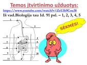 Virškinimo sistema. Burnoje, skrandyje, žarnyne 20 puslapis