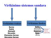 Virškinimo sistema. Burnoje, skrandyje, žarnyne 4 puslapis