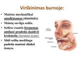 Virškinimo sistema. Burnoje, skrandyje, žarnyne 6 puslapis