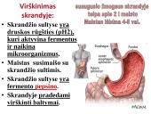 Virškinimo sistema. Burnoje, skrandyje, žarnyne 10 puslapis